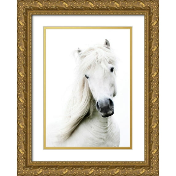 Blonde Attitude 24x32 Gold Ornate Wood Framed with Double Matting Museum Art Print Titled - Crin Blanc