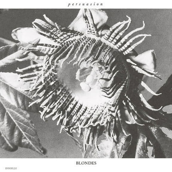 Blondes - Persuasion - Music & Performance - Vinyl