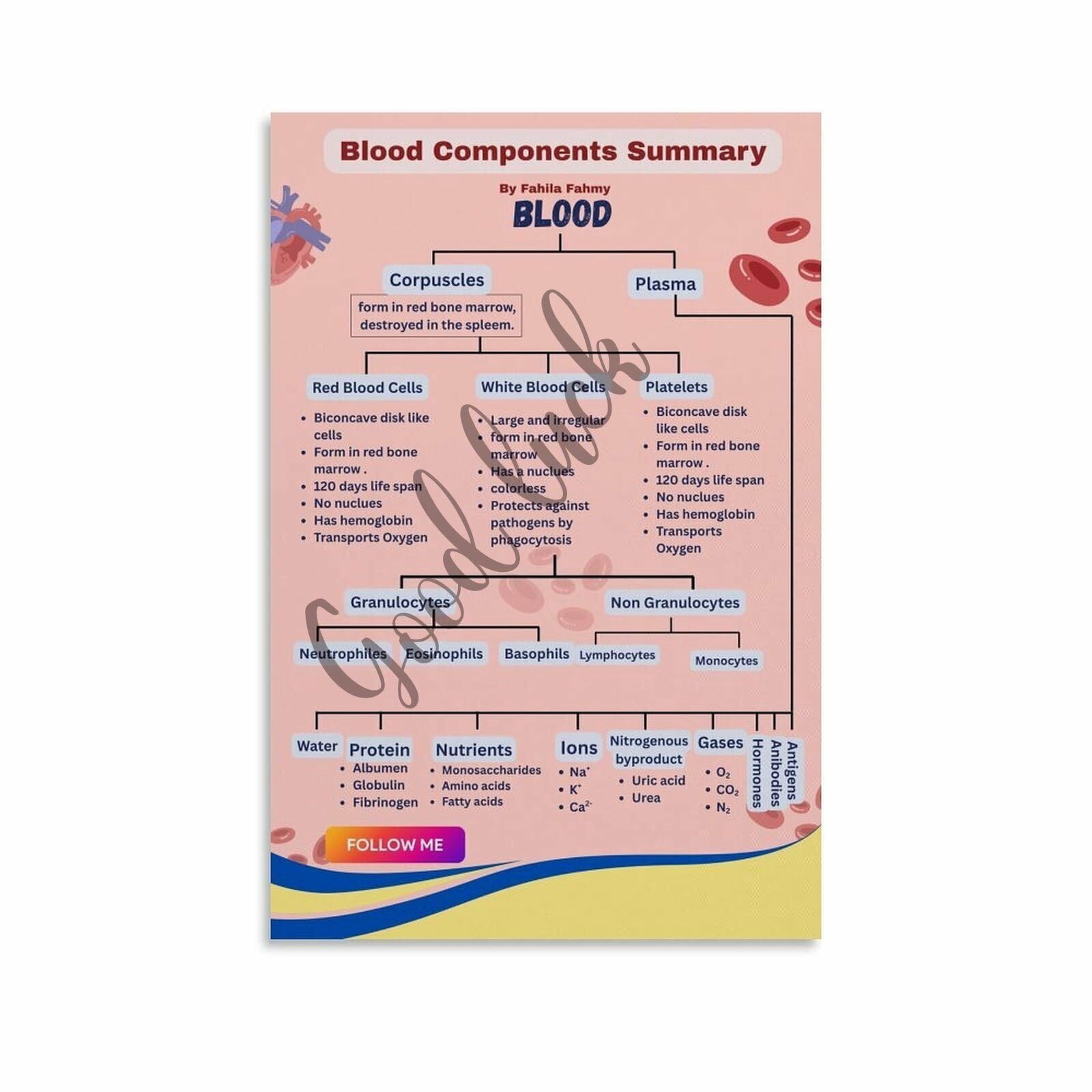 Blood Components Summary Guide Poster Medical Education Classroom Wall ...