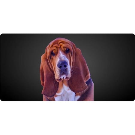 Blood Hound Centered Photo License Plate