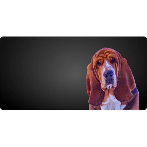 Blood Hound Offset Photo License Plate