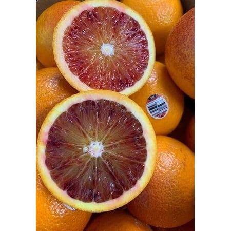 Blood Oranges Bulk 18 Lb Case - Exotic and Antioxidant-Rich Citrus for Culinary Excellence