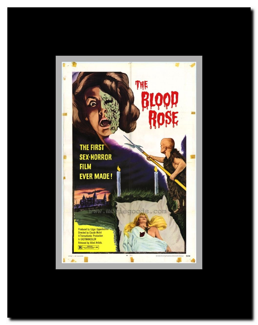 Blood Rose Framed Movie Poster