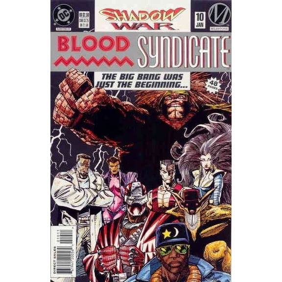 Blood Syndicate #10 VF ; DC Comic Book