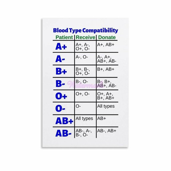 Blood Type Compatibility Chart Receive And Donate Poster Canvas Painting Posters And Prints Wall Art for Living Room Bedroom Decor