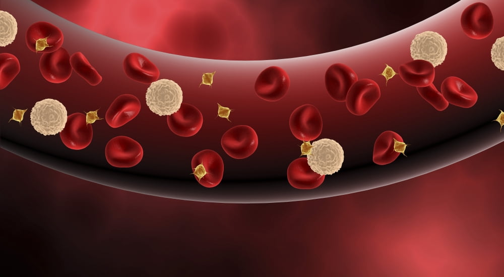 Blood vessel with platelets white blood cells and red blood cells Canvas Art - Stocktrek Images (39 x 21)