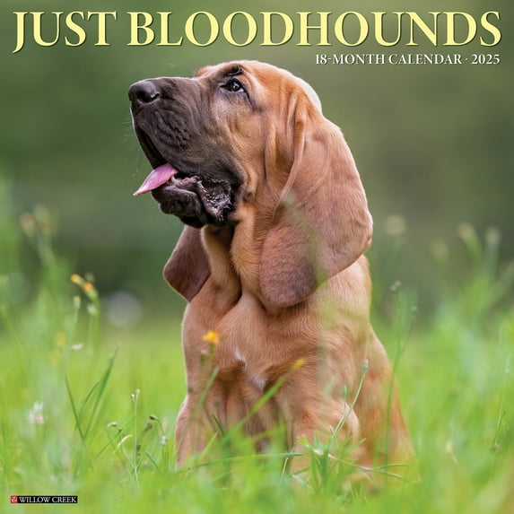 Bloodhounds 2025 Wall Calendar