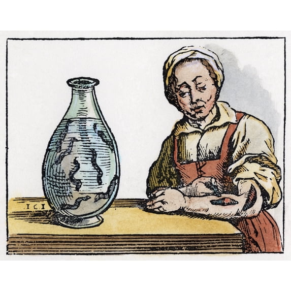 Bloodletting. /Na Woman Using Leeches For Bloodletting. Woodcut From Willem Van Den Bossche'S 'Historia Medica,' Published In 1638. Poster Print by (24 x 36)