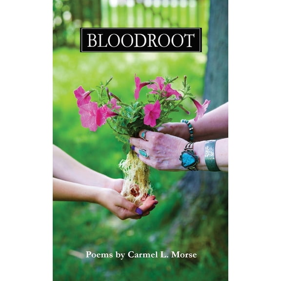 Bloodroot, (Paperback)