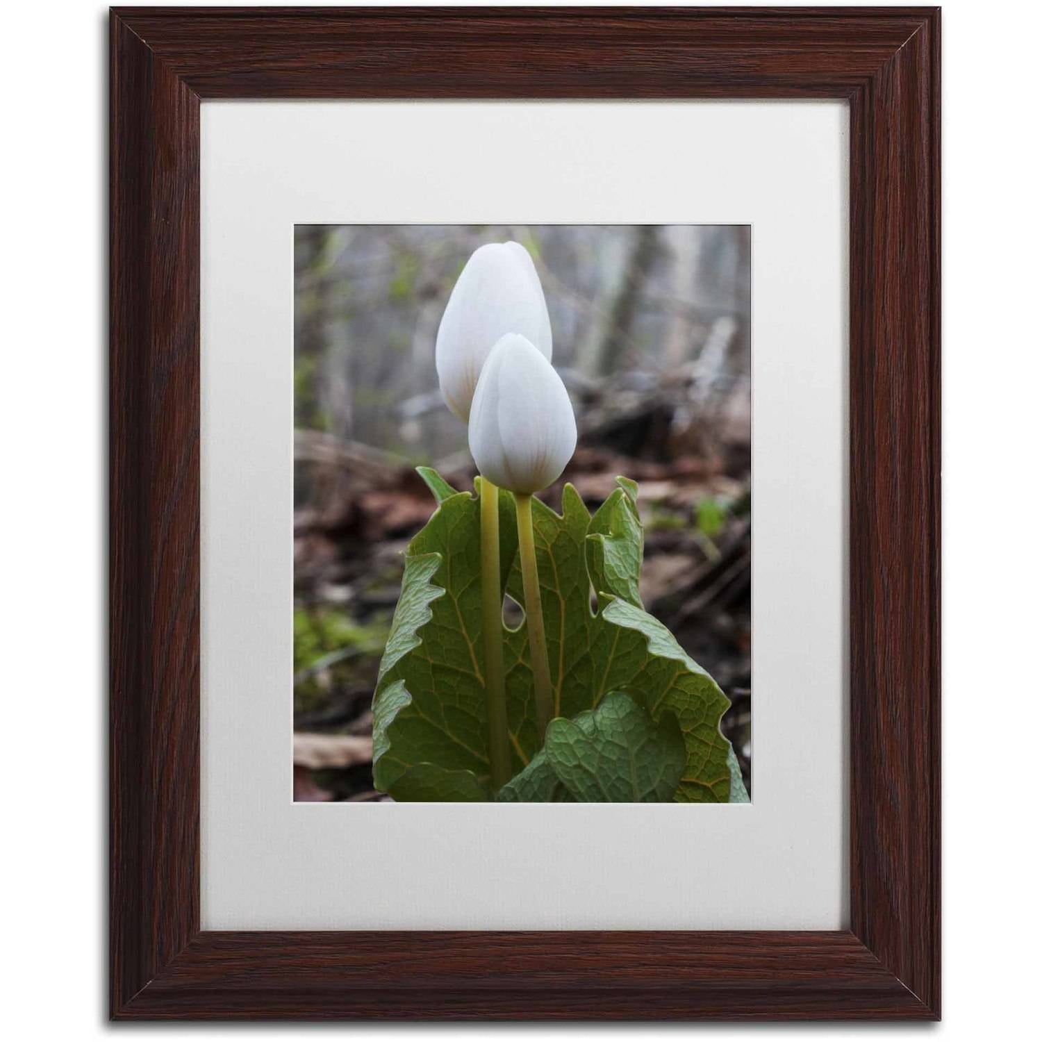 "Bloodroot Wildflower" Canvas Art by Kurt Shaffer, White Matte, Wood Frame