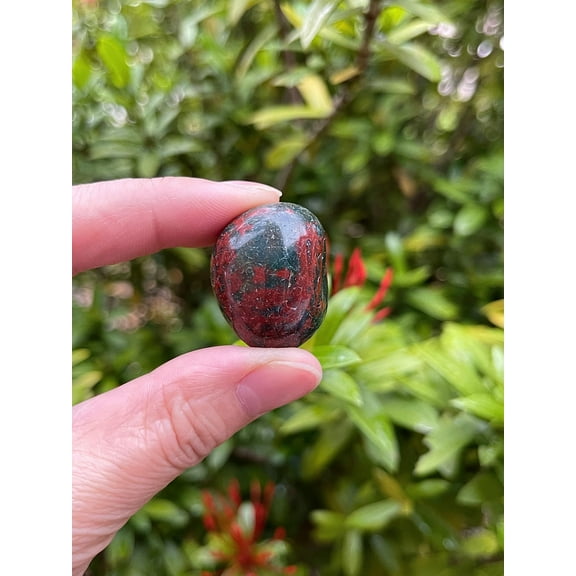 Bloodstone Tumbled Stones, Polished Natural Bloodstone Gemstone, Bloodstone Healing Crystals (Bloodstone, 5 Pound)