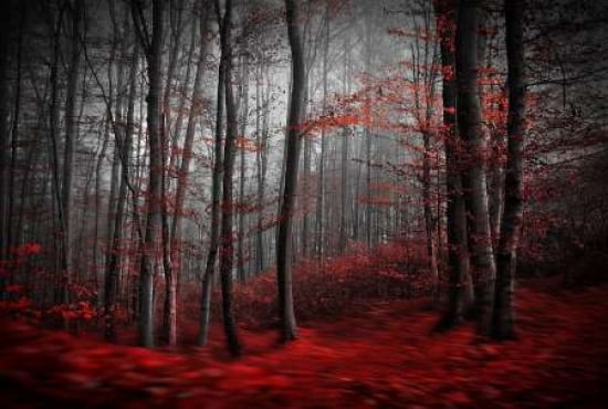 Bloody River Canvas Art - Samanta (20 x 28)