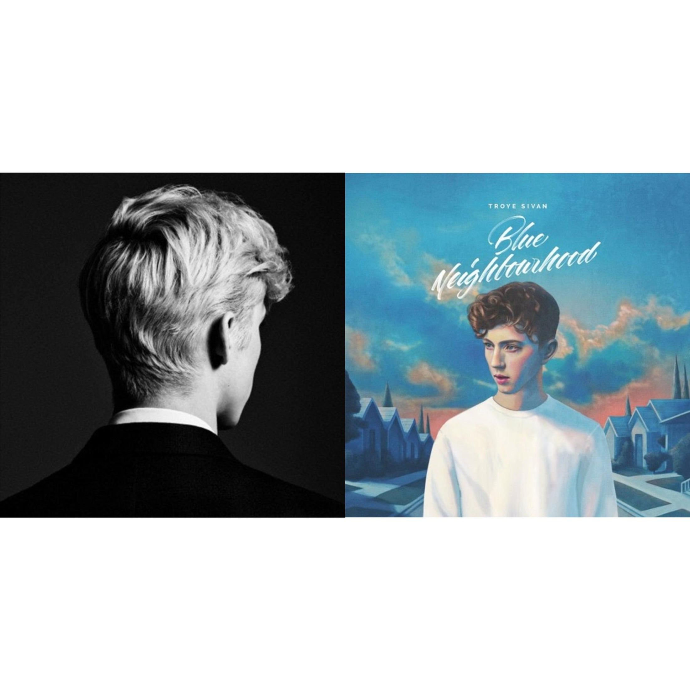 Vinyl Troye Sivan