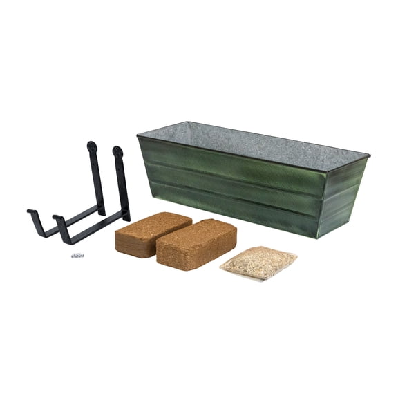 Bloom Box Garden Growing Kit, Medium Green with Wall Brackets,