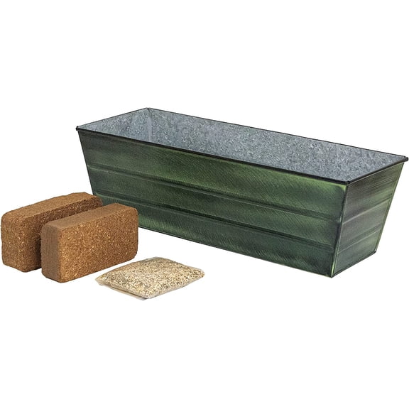 Bloom Box Garden Growing Kit Medium Green