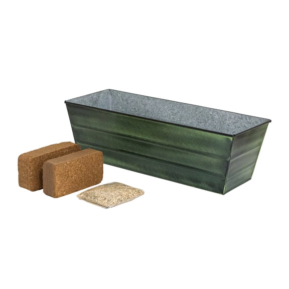 Bloom Box Garden Growing Kit, Medium Green