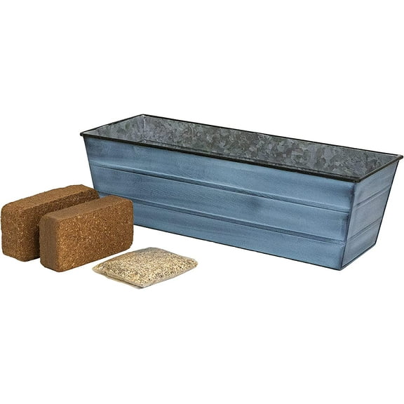 Bloom Box Garden Growing Kit Medium Nantucket Blue
