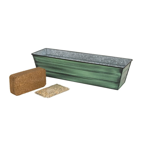Bloom Box Garden Growing Kit, Small Green