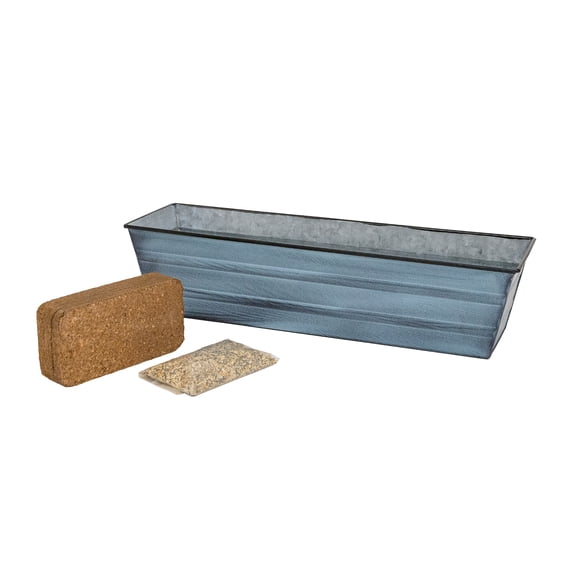 Bloom Box Garden Growing Kit, Small Nantucket Blue