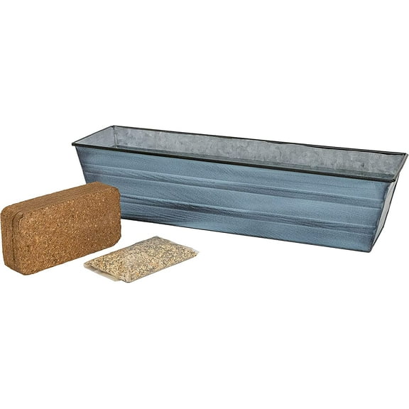 Bloom Box Garden Growing Kit Small Nantucket Blue