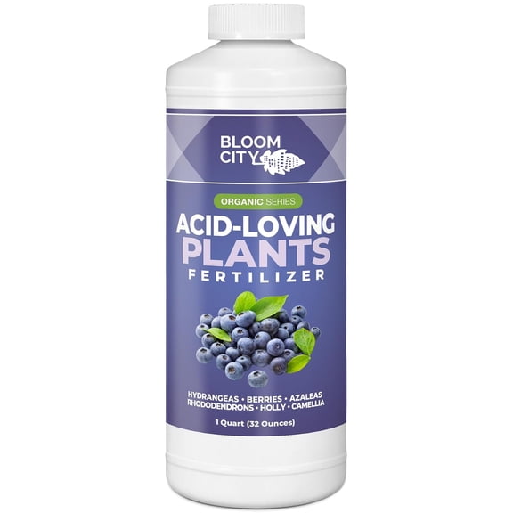 Bloom City Acid-Loving Plant Fertilizer Liquid Soil Acidifier & Nutrient Formula for Blueberries, Hydrangeas & Other Acid-Loving Plants, 32 oz