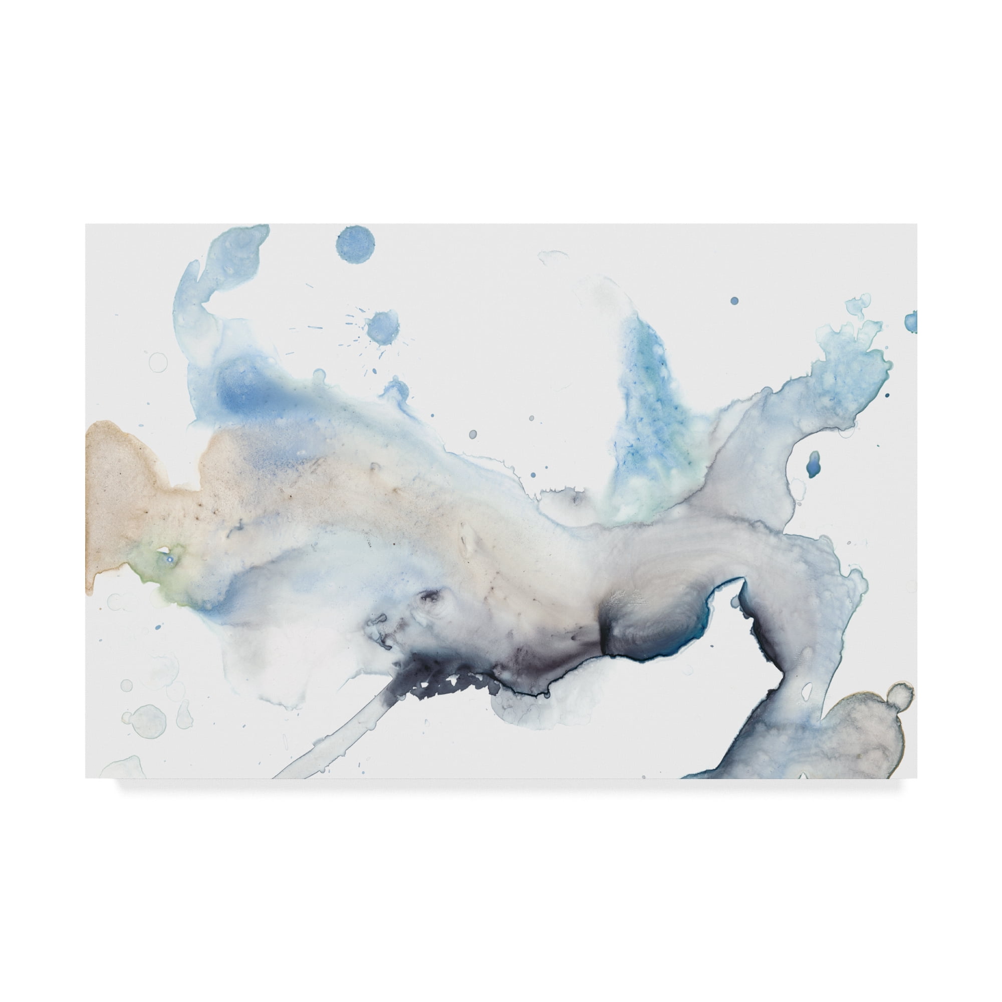 Bloom Cloud I' Canvas Art by Jennifer Goldberger