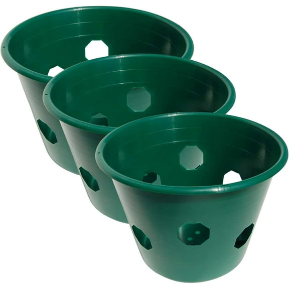 Bloom Master Hanging Baskets - 2 Gallon (3 Pack) - Hanging Planters for Outdoor  - Use as a Hanging Flower Basket, Strawberry Planter, Herb Planter, & More - Hanging Pots for  Outdoor