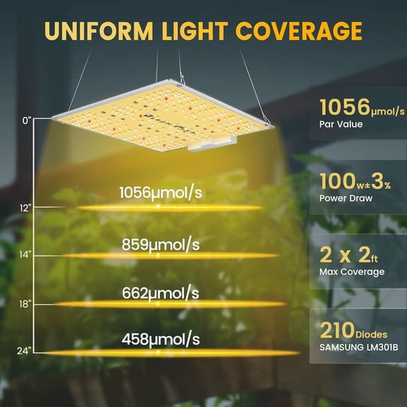 Bloom Plus XP1000 LED Grow Light 2x2ft Full with LM301B Diodes, 100W High-Efficiency Plant Light for Indoor Growing (Seedling to Flowering)