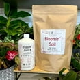 thumbnail image 1 of Bloom Power Bundle, 1 of 9