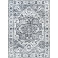 thumbnail image 1 of Bloom Rugs Washable Non-Slip 6x9 Rug - Silver / Dark Gray Traditional Oriental Area Rug for Living Room, Bedroom, Dining Room, and Kitchen - Exact size: 6' x 9', 1 of 9