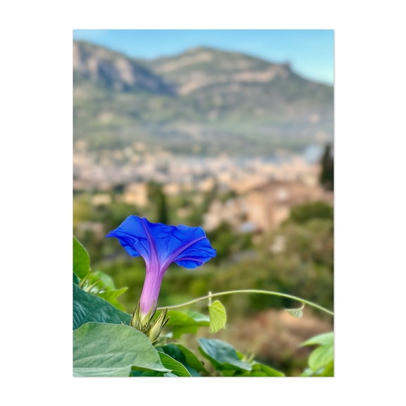 Bloom Over Soller Hills - Biniaraix Illes Balears Spain Photography Flowers Floral Nature Scenic Garden Botanical Landscape Unframed Wall Art Print 5 x 7 inches