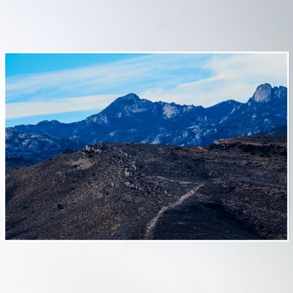 Bloom Theory A Wyoming Mountain Peak Poster Wall Art, Modern Wall Decor, 8x12 UNFRAMED