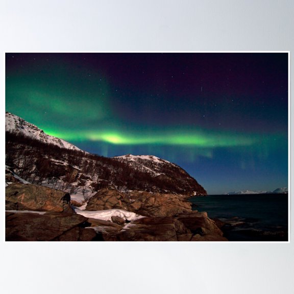 Bloom Theory Full Moon Landscape Poster Wall Art, Modern Wall Decor, 16x24 UNFRAMED