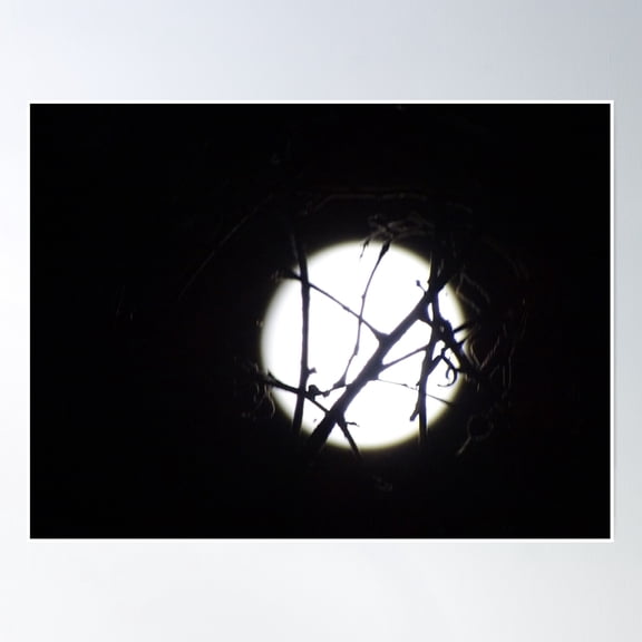 Bloom Theory Full Moon, Moon, The Moon, Poster Wall Art, Modern Wall Decor, 8x12 UNFRAMED