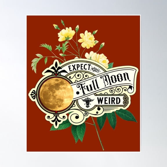 Bloom Theory Full Moon Poster Wall Art, Modern Wall Decor, 24x36 UNFRAMED