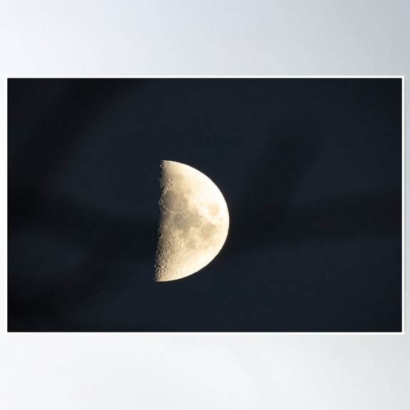 Bloom Theory Half Moon Poster Wall Art, Modern Wall Decor, 24x36 UNFRAMED