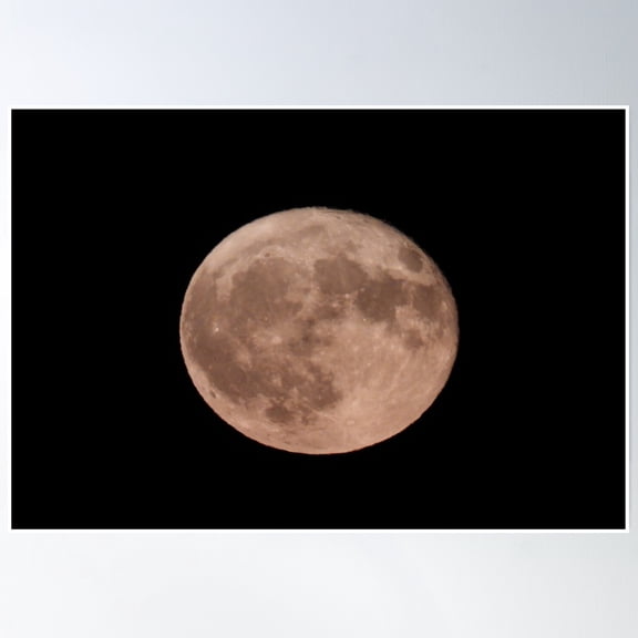 Bloom Theory Harvest Moon Poster Wall Art, Modern Wall Decor, 8x12 UNFRAMED