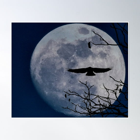 Bloom Theory Hawk'S Flight In Moon Light Poster Wall Art, Modern Wall Decor, 8x12 UNFRAMED