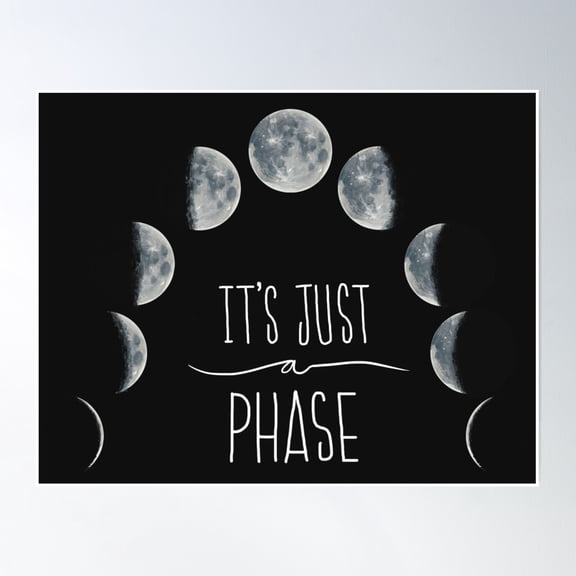 Bloom Theory It'S Just A Phase Poster Wall Art, Modern Wall Decor, 16x24 UNFRAMED
