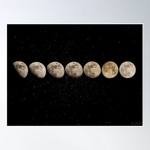 Bloom Theory Many Nights Poster Wall Art, Modern Wall Decor, 12x18 UNFRAMED