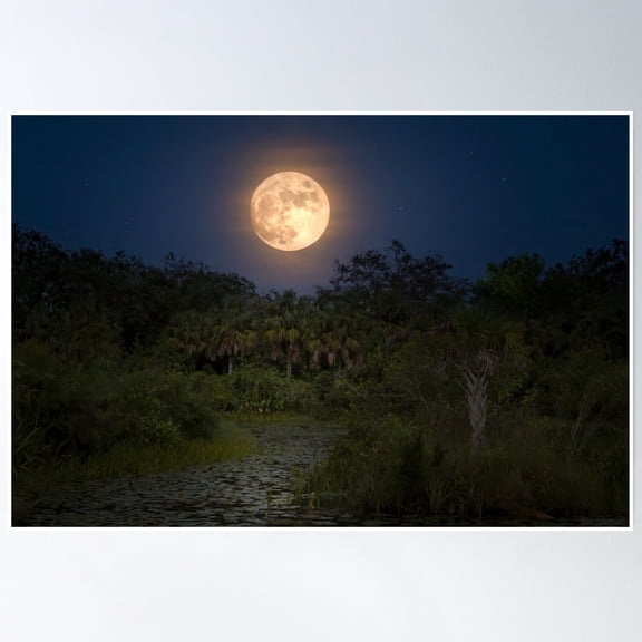 Bloom Theory Moon Over The Swamp Poster Wall Art, Modern Wall Decor, 24x36 UNFRAMED