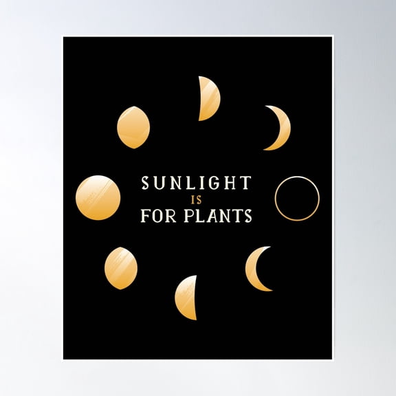 Bloom Theory Moon Phase, Moon Poster Wall Art, Modern Wall Decor, 24x36 UNFRAMED