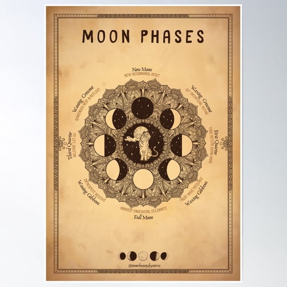 Bloom Theory Moon Phases Meaning Vintage Artwork Poster Wall Art, Modern Wall Decor, 8x12 UNFRAMED