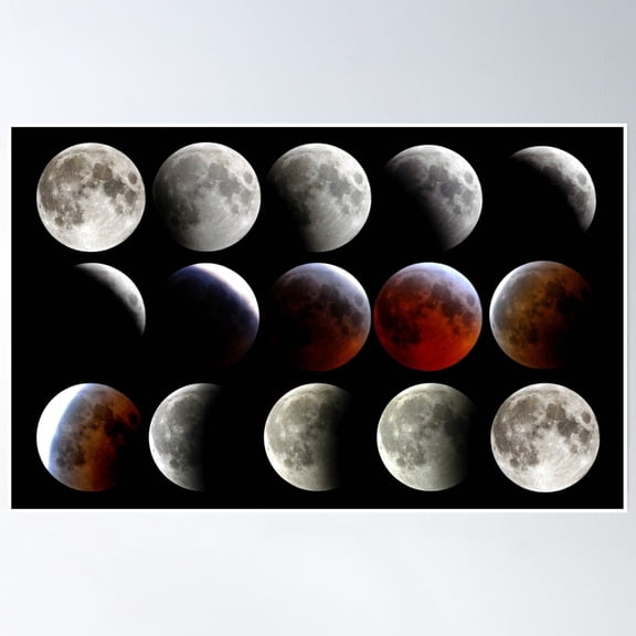 Bloom Theory Moon Phases Poster Wall Art, Modern Wall Decor, 24x36 UNFRAMED