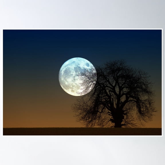 Bloom Theory Moon Rise Poster Wall Art, Modern Wall Decor, 8x12 UNFRAMED