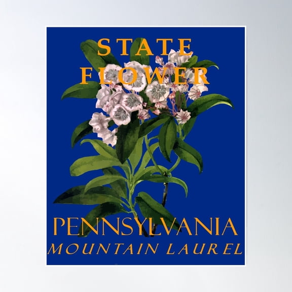 Bloom Theory Pennsylvania Territory Flower The Mountain Laurel Poster Wall Art, Modern Wall Decor, 8x12 UNFRAMED