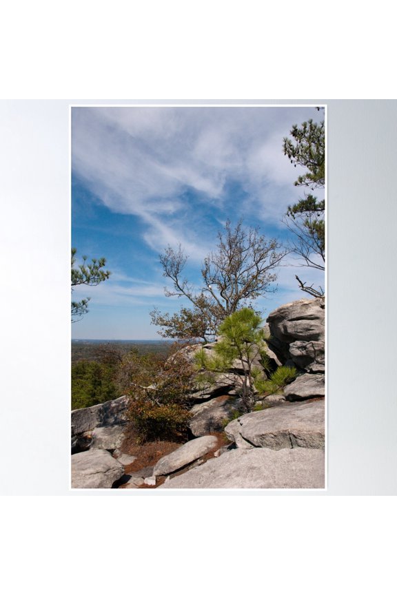 Stone Mountain Park Poster Wall Art, Modern Wall Decor, 8x12 UNFRAMED
