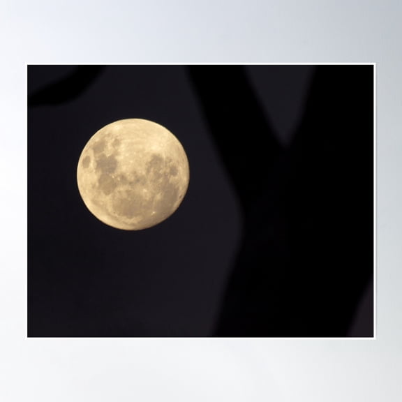 Bloom Theory Super Moon -, May 2012 Poster Wall Art, Modern Wall Decor, 16x24 UNFRAMED