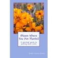 thumbnail image 1 of Bloom Where You Are Planted: A spiritual guide to putting down roots (Paperback) by Randy R Kafka, 1 of 1