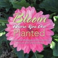 thumbnail image 1 of Bloom Where You Are Planted, 1 of 1